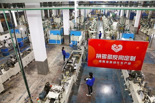 近九成用戶信賴拼多多日常所需，超八成用戶愿購家電，技術服務成關鍵推動力